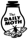 The Daily Moth